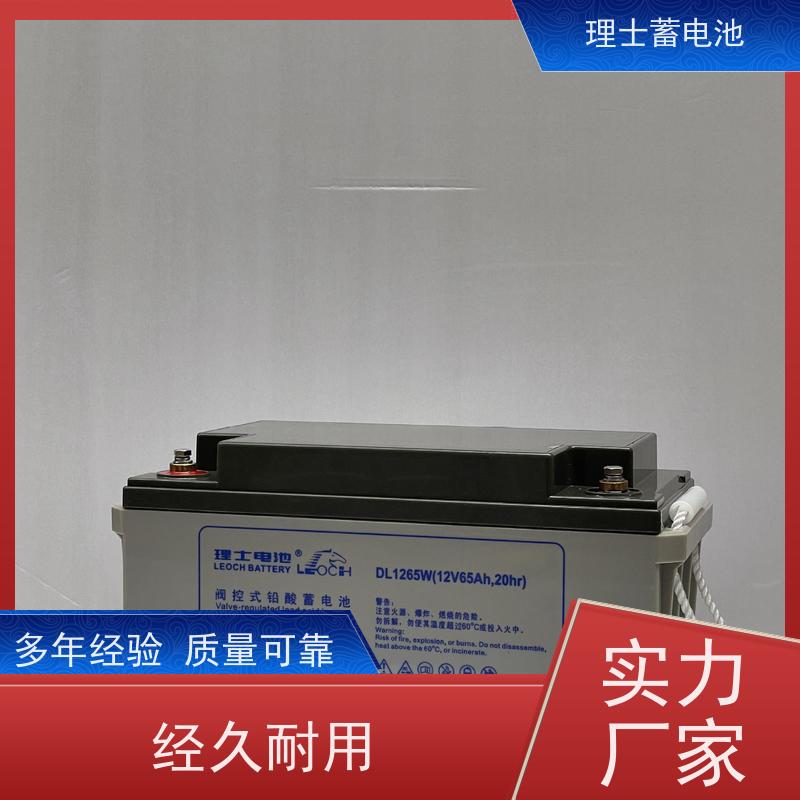 理士电池 12V38AH 数据机房ups直流屏EPS备用电源 实力厂家