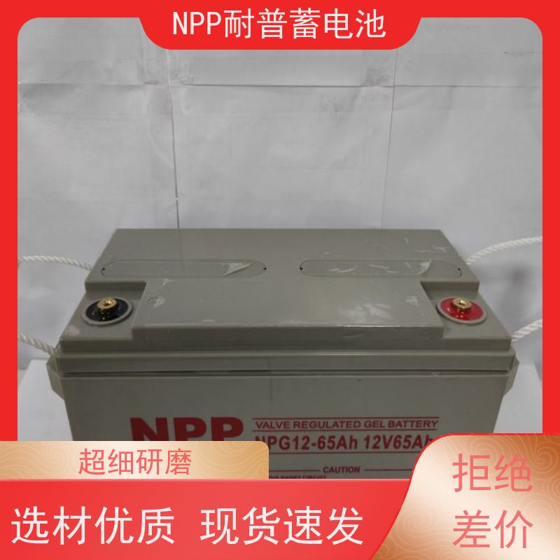 UPS蓄电池 NPG12-250 阀控式密封储能型 安装维修维护