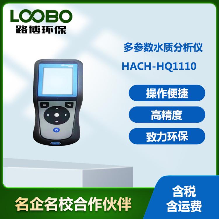 美国哈希HACH-HQ1110型 手持便携水质pH/ORP电化学测试仪