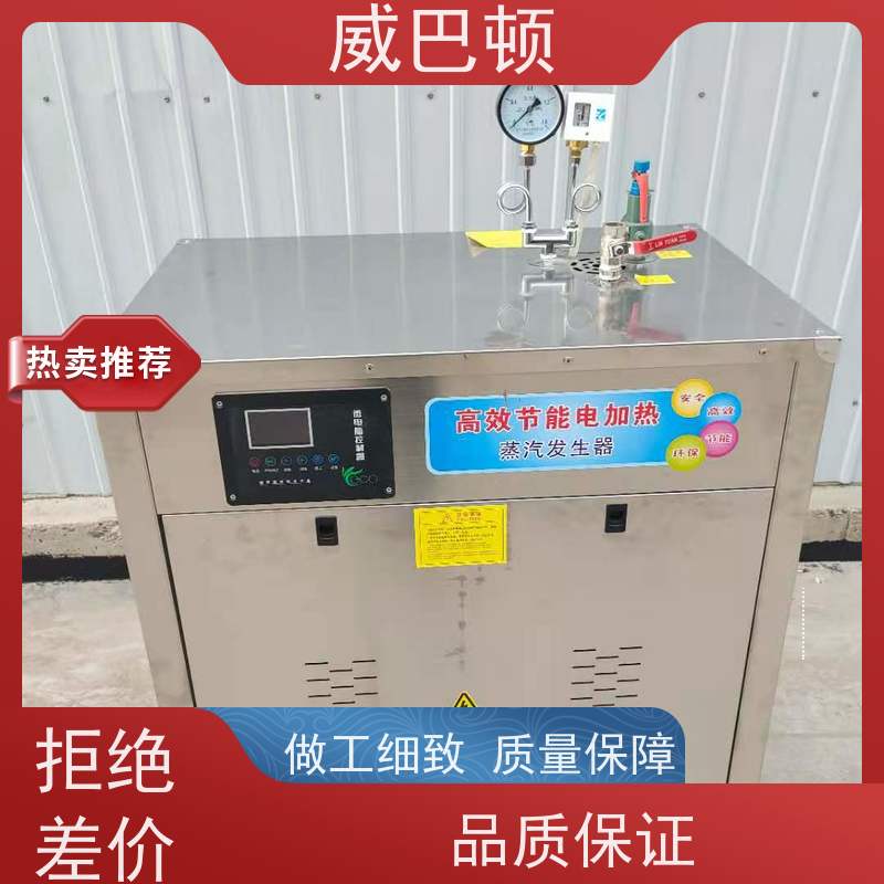  1吨电蒸汽锅炉 超压保护 洗涤服务行业 不锈钢材质