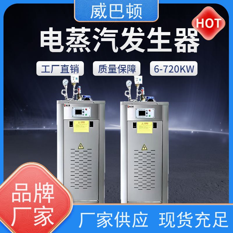  24千瓦电蒸汽发生器 防爆 消毒行业 不锈钢材质
