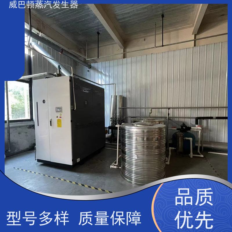  节能环保 全不锈钢锅炉 水容积≤30L，合规又省心 化工厂