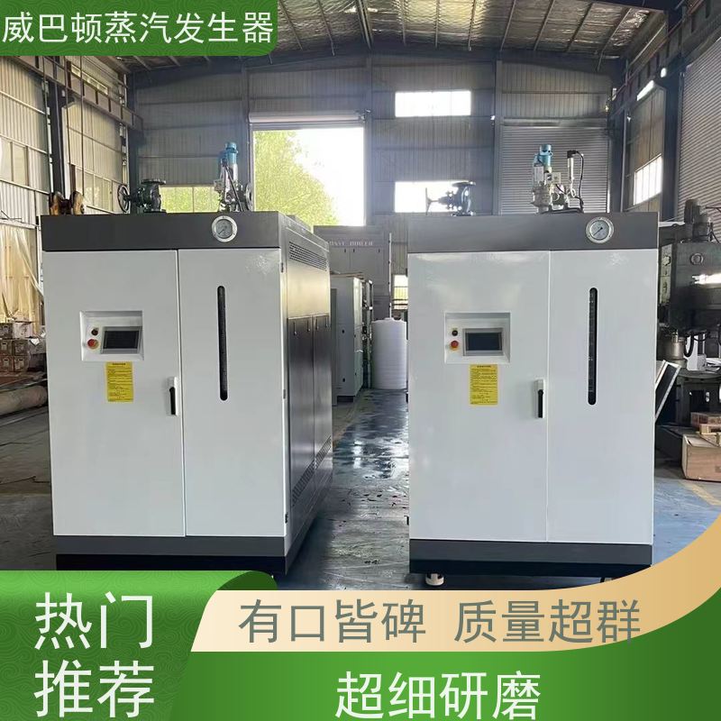 食品级 2吨蒸汽发生器 热效率 101% 还省气 高温高压