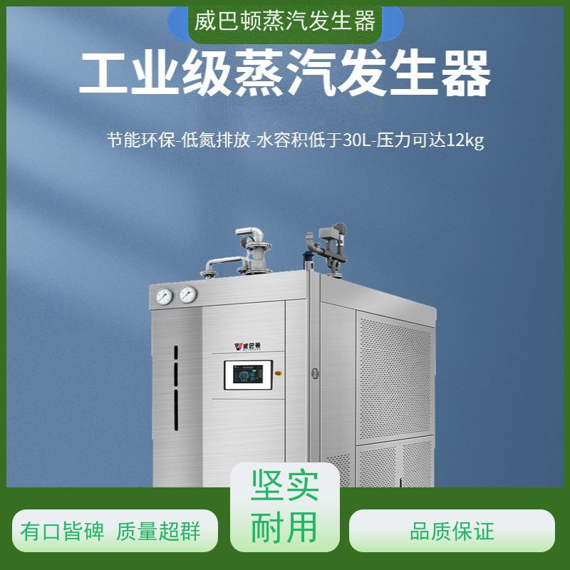  节能环保 工业蒸汽发生器 多台并联省气稳供 智能控温
