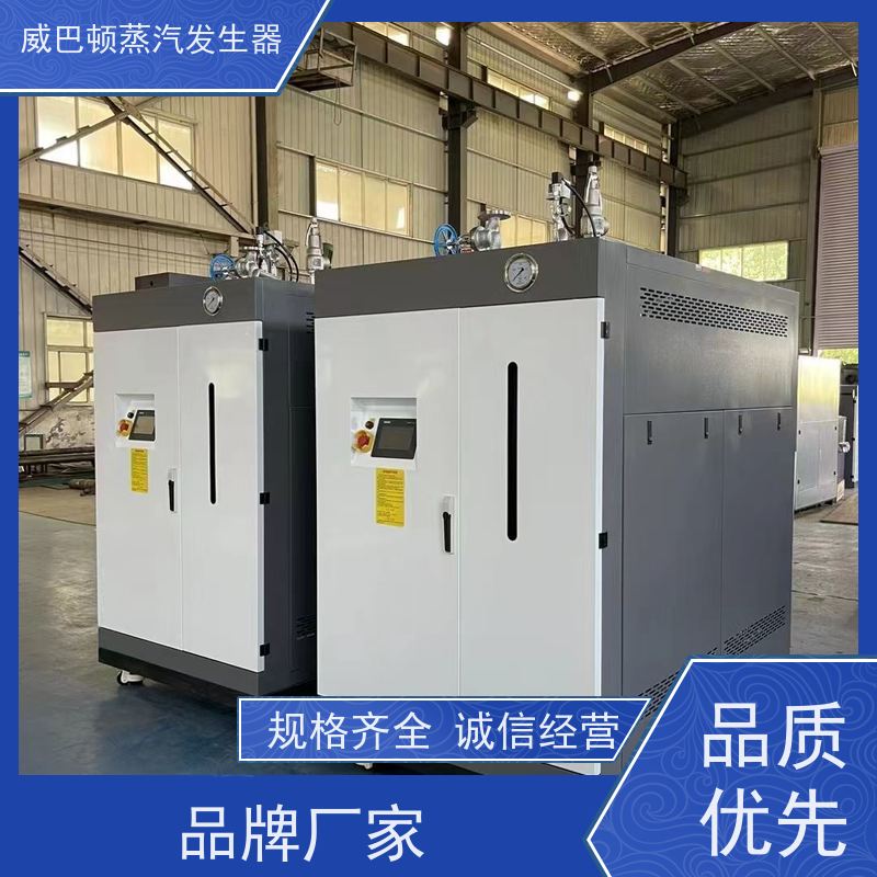  免备案 6T蒸汽发生器 水容积≤30L，合规又省心 印染厂