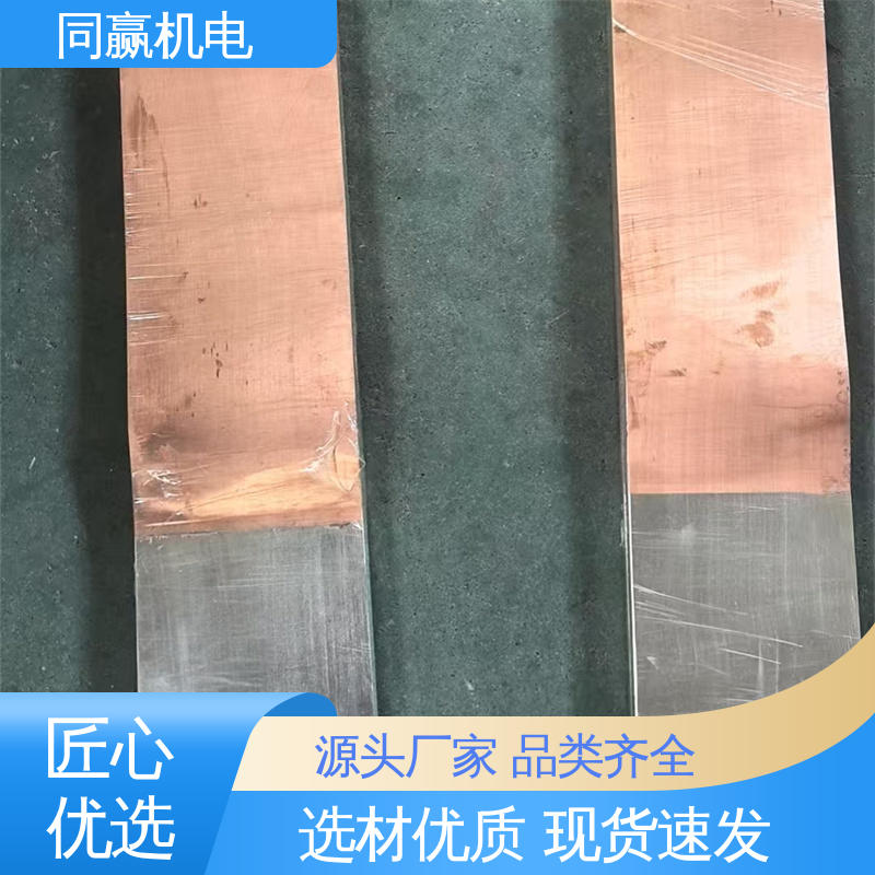 加工定制 强大抗氧化性 电解锌设备 T2紫铜导电带 同赢生产