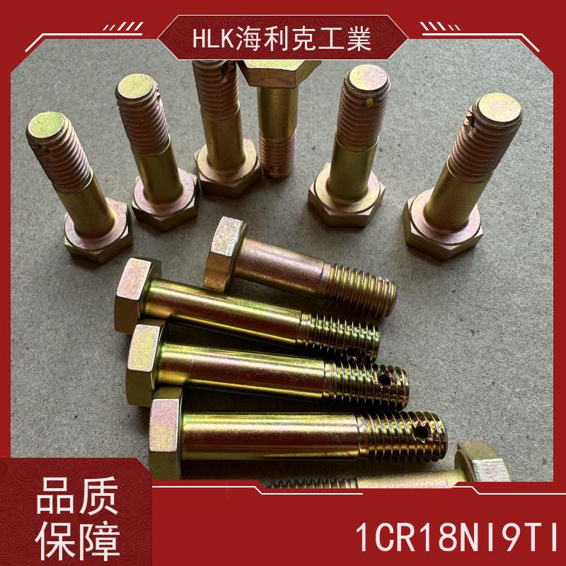 海利克精工制造 HB1-101-HB0-9头部带孔六角头螺栓 0C16Ni6 M12