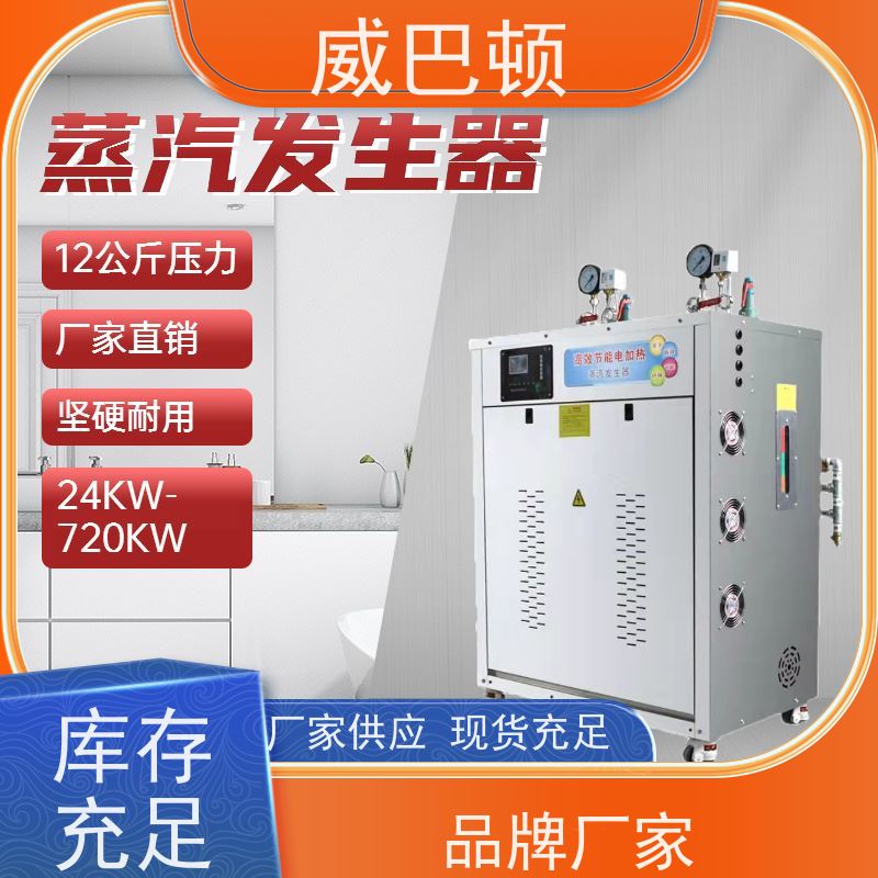  304 不锈钢内胆 占地仅1㎡ 超温保护 144KW电蒸汽发生器