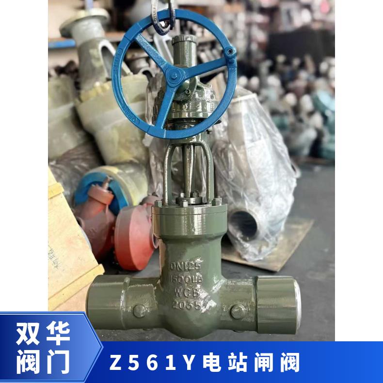 Z61Y-160C/320电站高温高压对焊闸阀电厂蒸汽碳钢焊接闸板阀Z561Y