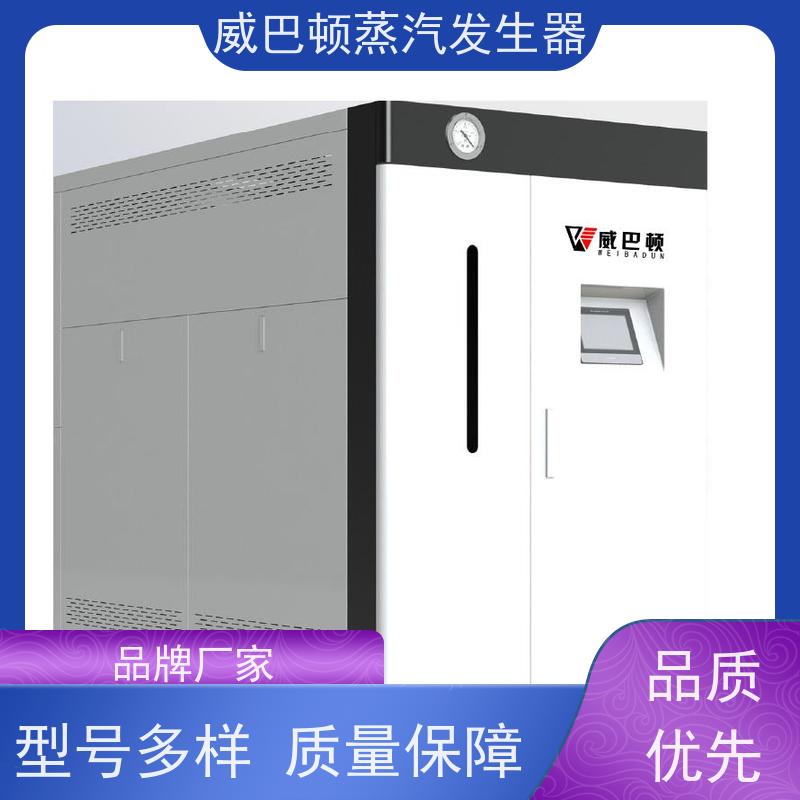  洗涤熨烫 食品级蒸汽发生器 水容积≤30L，合规又省心 巴氏消毒