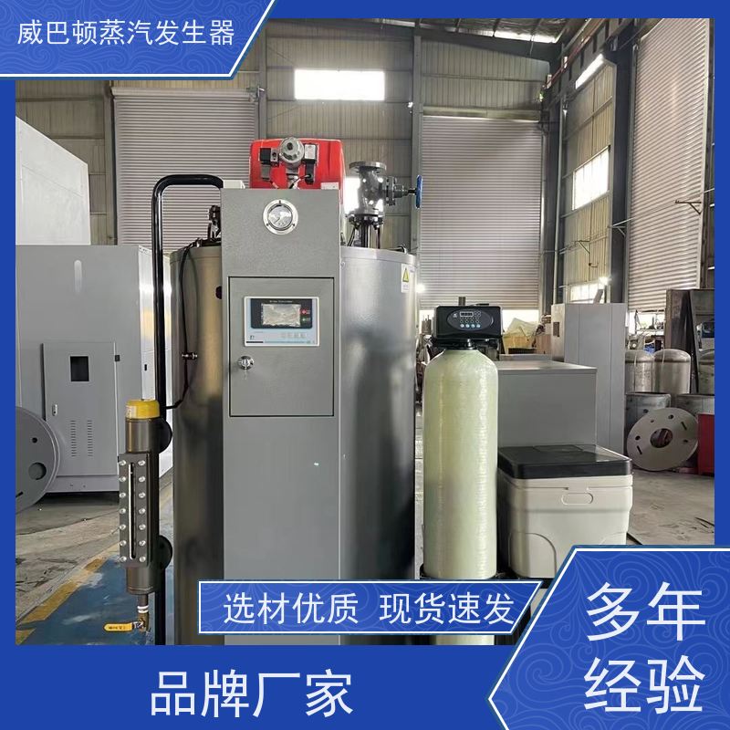  免登记 贯流蒸汽锅炉 水容积≤30L，合规又省心 橡胶厂