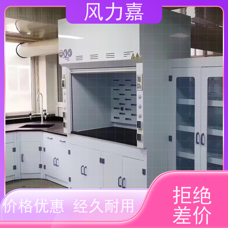 PP安全柜用于化学实验室落地式 步入式支持定制