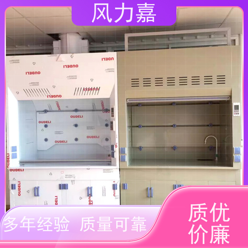 PP安全柜化学实验室专用低能耗 净气型支持定制