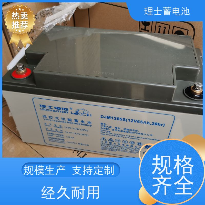 理士蓄电池 DJM1265S 适用直流屏 发电机 质保三年