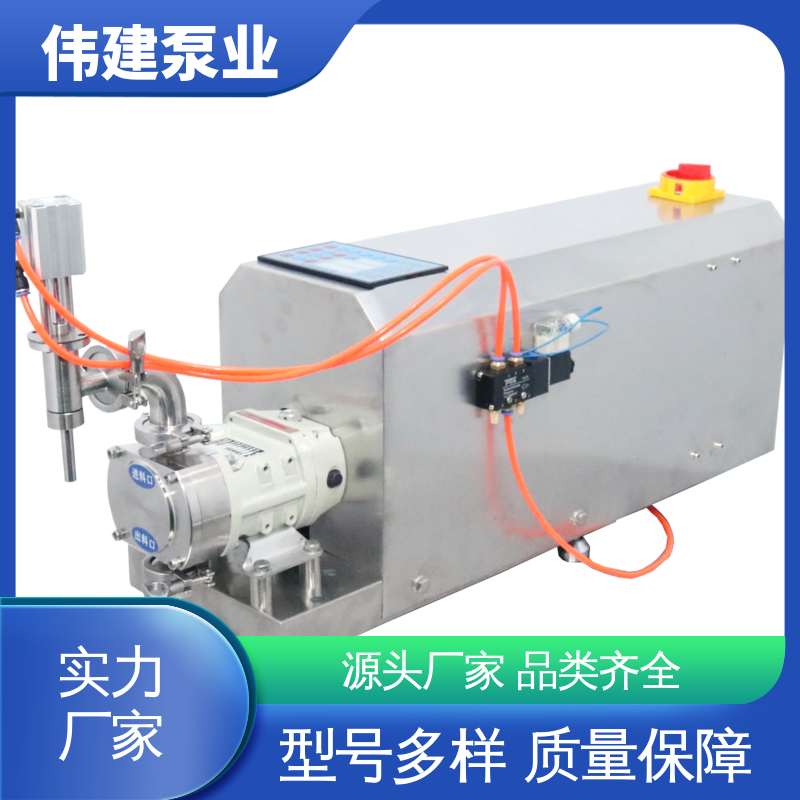 伟建定制 碳素合金钢材质 鲅鱼馅灌装机 计量精准 输出量稳定
