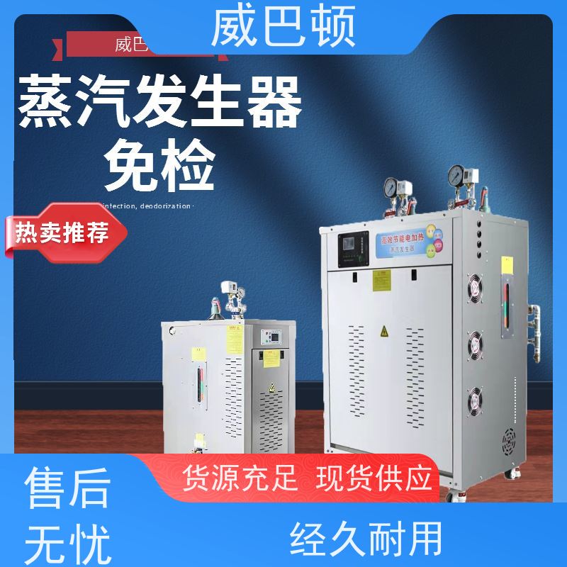  电磁蒸汽发生器 304 不锈钢内胆 +智能控温 超压保护