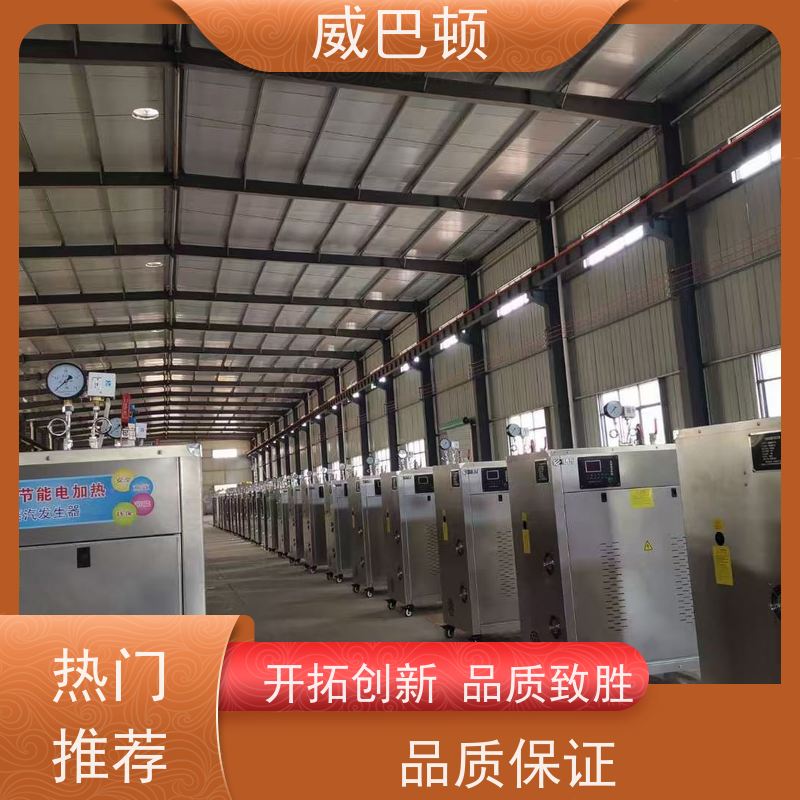  消毒行业 不锈钢材质 超温保护 48千瓦电蒸汽发生器