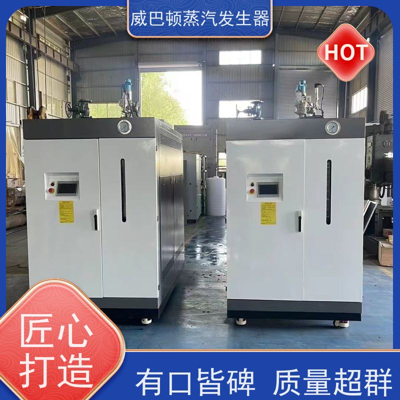  新型国标 节能蒸气炉 热效率 101% 还省气 印染厂