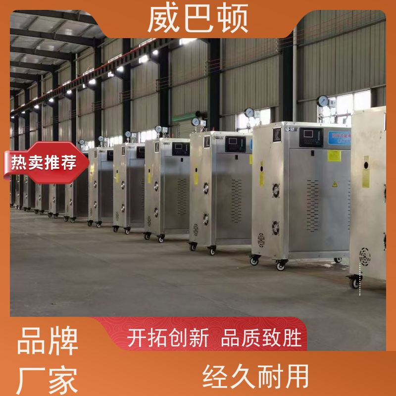  350千瓦电蒸汽发生器 304 不锈钢内胆 水容积≤30L 免监检 超压保护