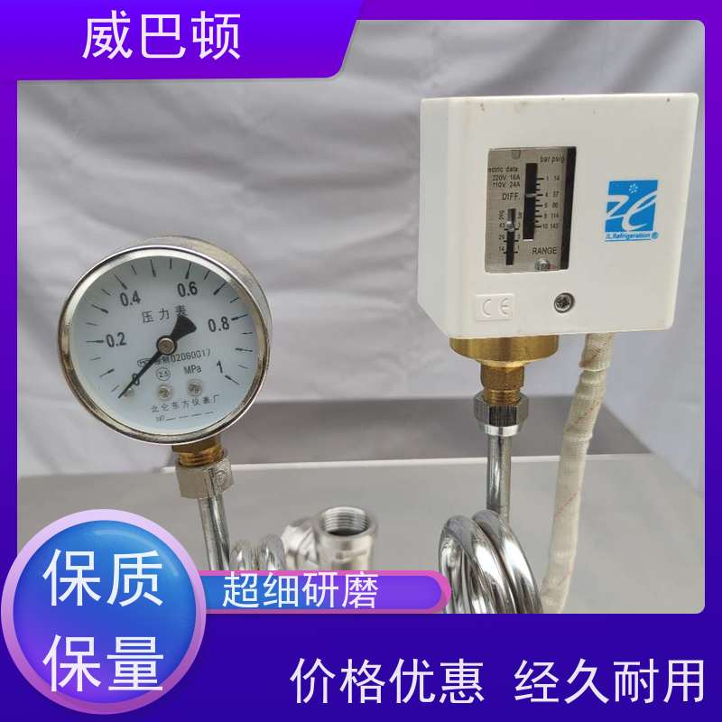  304 不锈钢内胆 科研实验室 防干烧 常压电蒸汽发生器