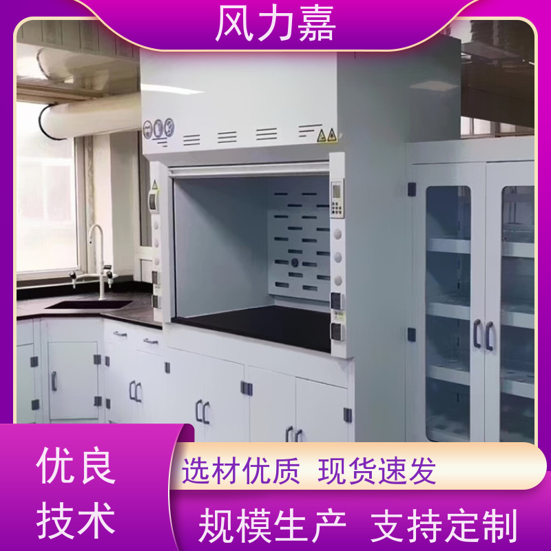 PP安全柜化学实验室专用落地式 步入式支持定制