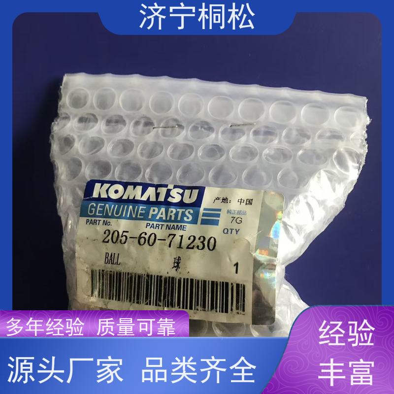 济 宁桐松 主控制阀单向阀 发货迅速 规格齐全 厂家供应 