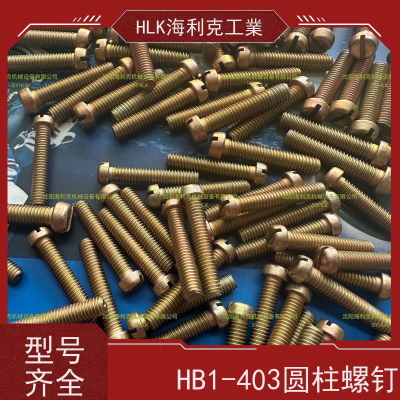 海利克精工制造 HB1-203 圆柱头部带孔螺30CrMnSiA 镀锌钝化 M3 M4