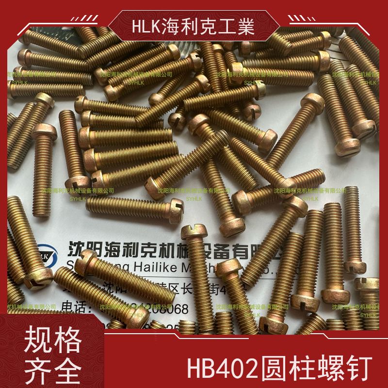海利克精工制造 HB1-202F-1995 圆柱头螺钉1Cr17Ni2 钝化 M6 M1.4