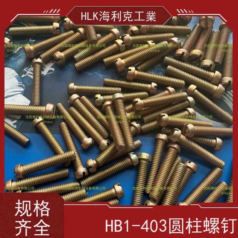 海利克精工制造 HB1-203 圆柱头部带孔螺30CrMnSiA 镀锌钝化 M3 M6