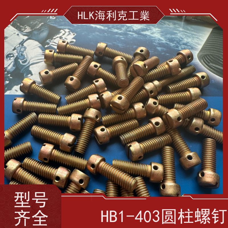 海利克精工制造 HB1-203G-1995 圆柱头螺钉ML25镀锌钝化 M2.5 M4