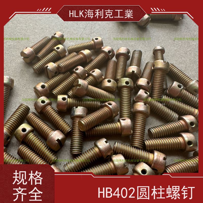 海利克精工制造 HB1-203F 头部带孔圆柱头螺钉1Cr17Ni2 钝化 M10 M2