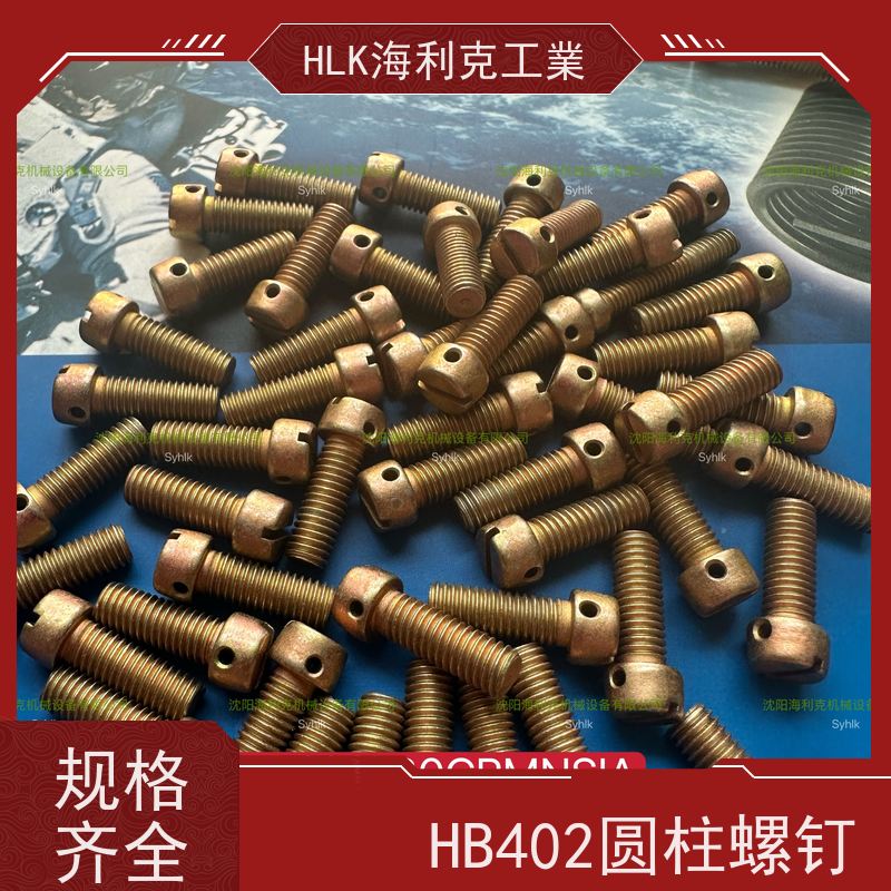 海利克精工制造 HB1-203 圆柱头部带孔螺30CrMnSiA 镀锌钝化 M1.6 M2