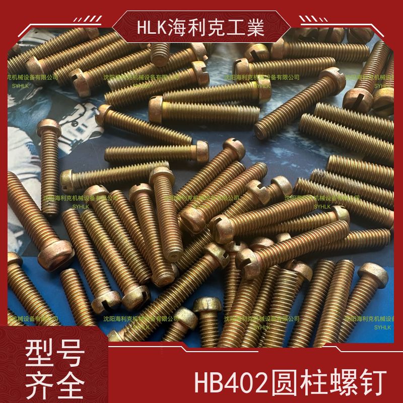 海利克精工制造 HB1-203F 头部带孔圆柱头螺钉1Cr17Ni2 钝化 M2.5 M5