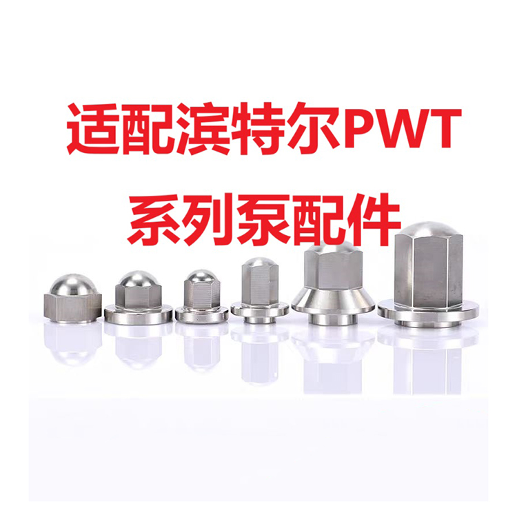 pentair滨特尔 轴承体 PWT200-150-250S 高压泵 加工精密