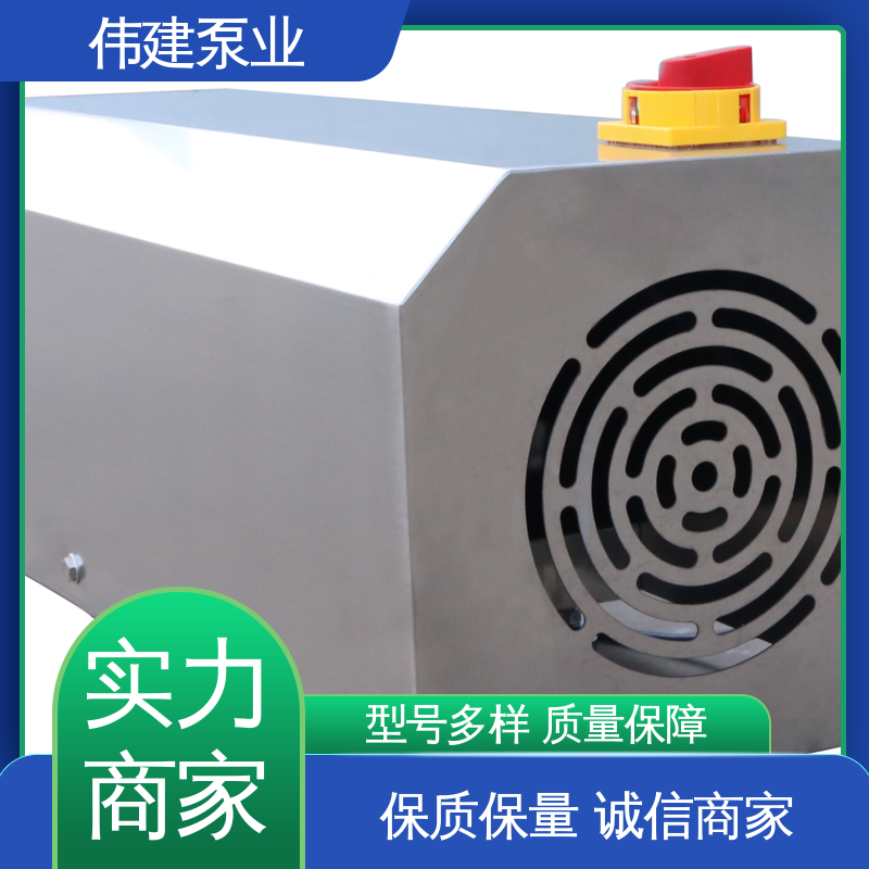 伟建 304不锈钢材质 麦芽糖浆泵 体积小重量轻 输出量稳定