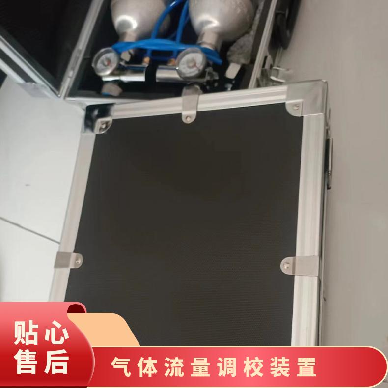 XZJ-4A一氧化碳气体流量调校装置 钢瓶压力10～0.6MPa