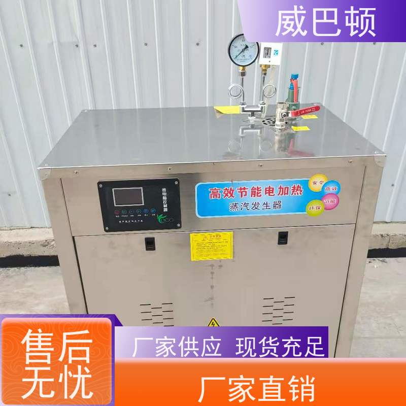  350KW电蒸汽发生器 水容积≤30L 免监检 免特检 不锈钢材质