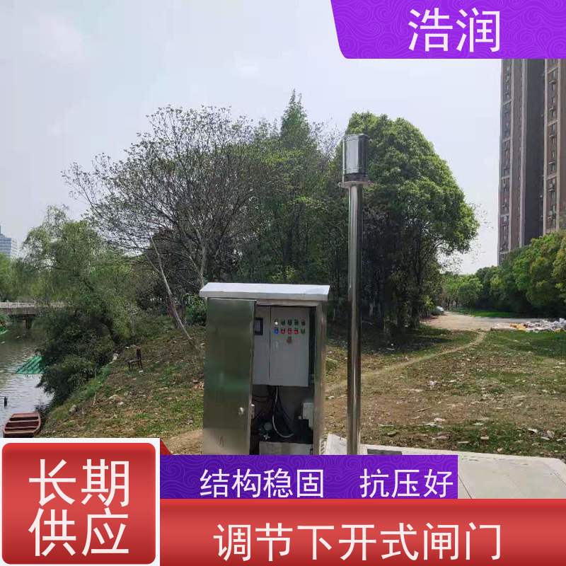 浩润 手电两用启闭机闸门 雨污分流设备 诚信经营