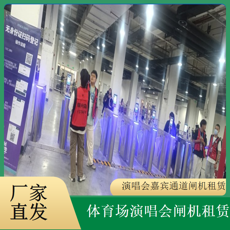 特殊主题活动专用闸机租赁 主题定制契合活动独特风格