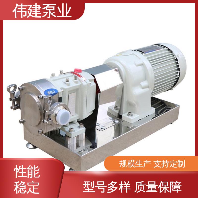 伟建供应 化工保温用 点火油泵 振动小噪音低 防水防锈 