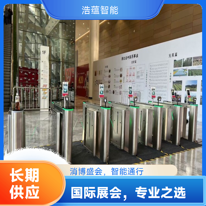国际消费品侧门辅闸机租赁 经济配置满足辅助出入口