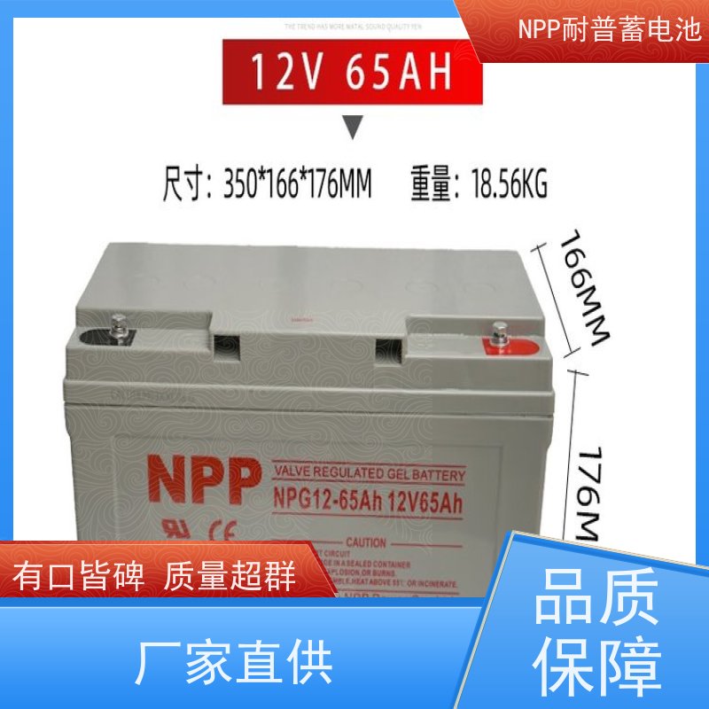 直流屏蓄电池 NPG12-24 适用机房储能蓄电 安装维修维护