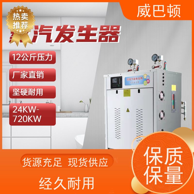  24KW电蒸汽发生器 高压7公斤 科研实验室 防干烧