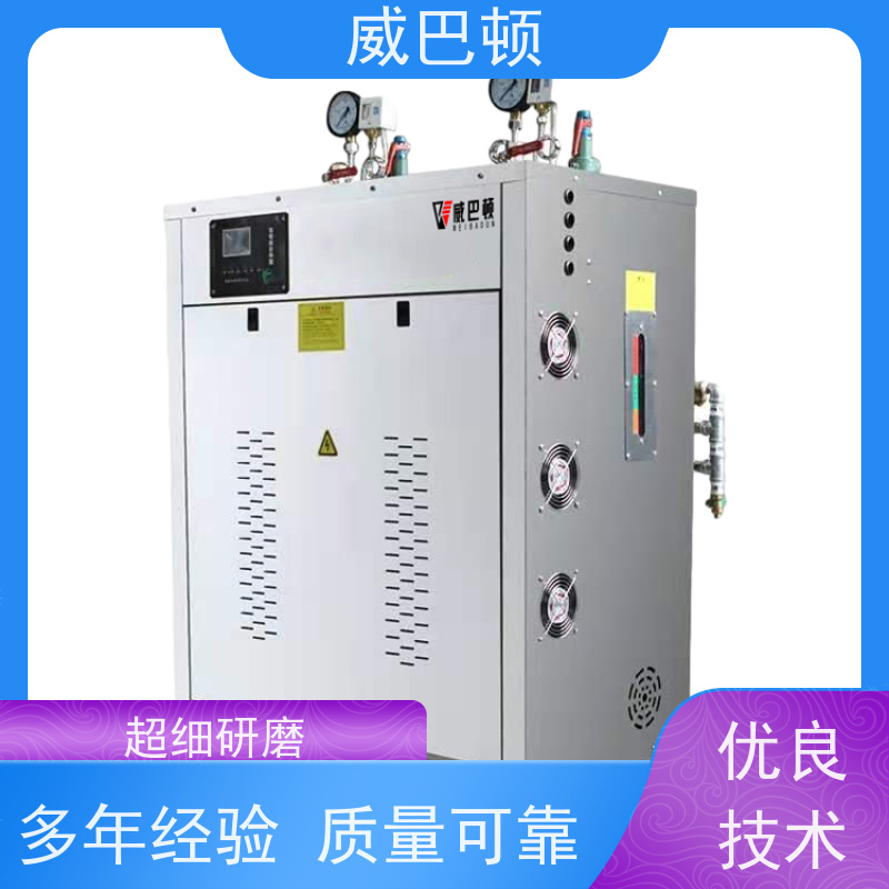  便宜的电蒸汽发生器 科研实验室 洁净 304 不锈钢内胆 
