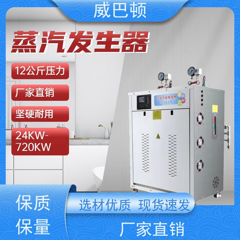  食品加工 高压7公斤 24KW电蒸汽发生器 超温保护