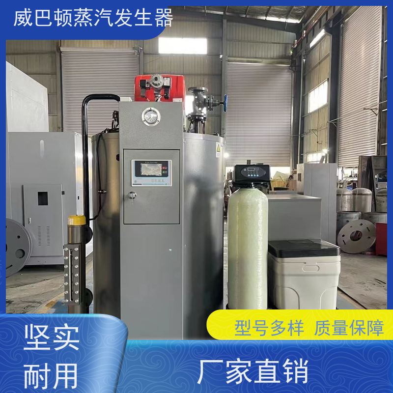  免备案 食品级蒸汽发生器 热效率 101% 还省气 豆腐腐竹加工厂