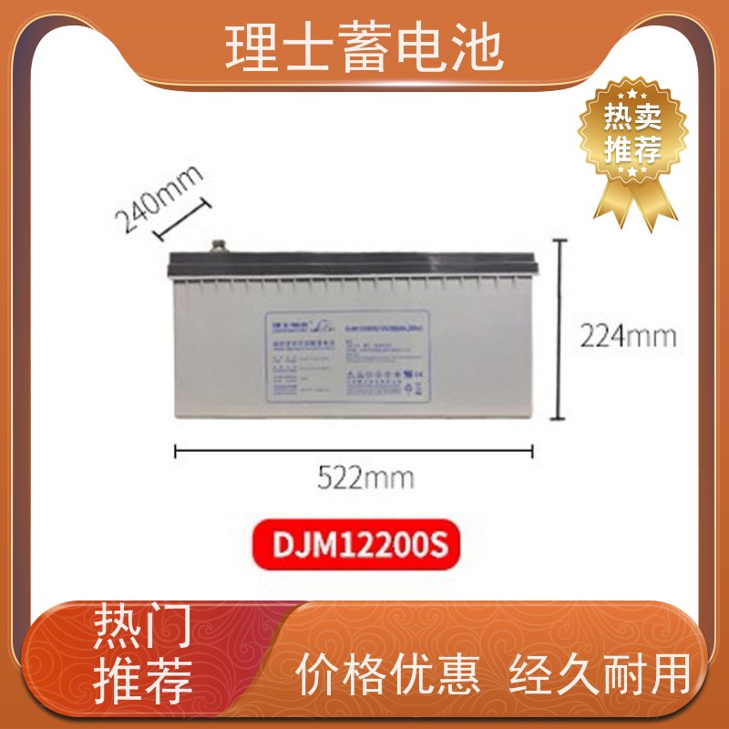 LEOCH理士蓄电池 DJM1238 适用直流屏 发电机 质保三年