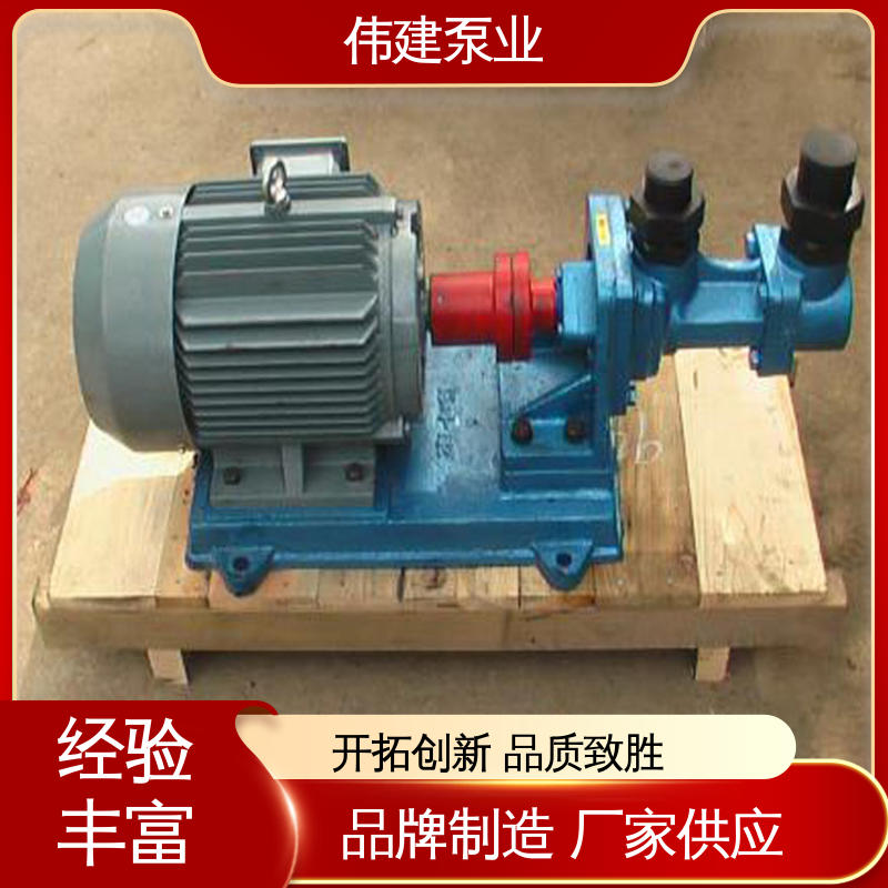 规格齐全 点火油泵 无脉动输送 化工保温用 伟建供应