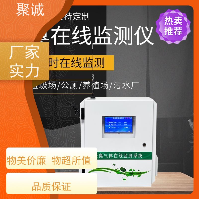 恶臭监测仪 污染源异味分析仪 环境恶臭监测系统 精选厂家