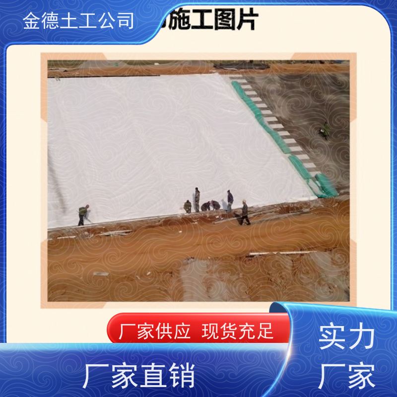 金德 SN型无纺土工布200g/m2 纤维三维缠结 封场覆盖层保护